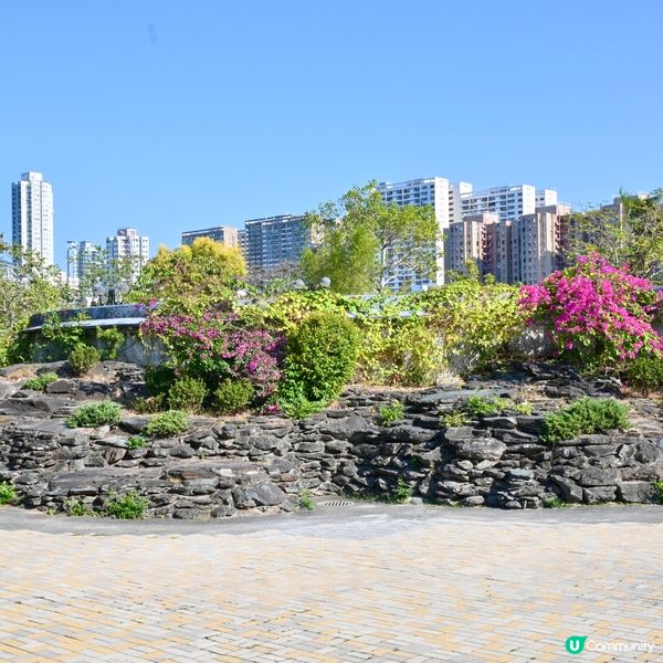 沙田公園：中西合璧🌳💦