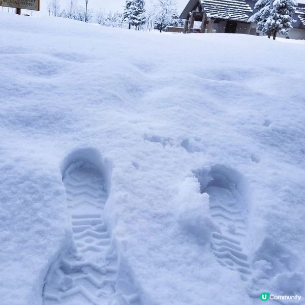 新潟靚景住宿推介！❄️ 玩雪必去！🤩