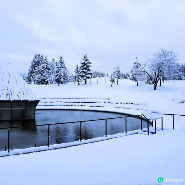 新潟靚景住宿推介！❄️ 玩雪必去！🤩