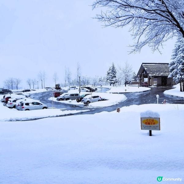 新潟靚景住宿推介！❄️ 玩雪必去！🤩