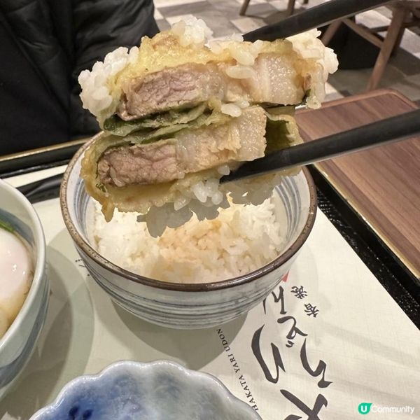 🩷日本60年歷史老店 🇯🇵 超吸睛超長32cm 炸牛蒡🤩博多槍烏冬