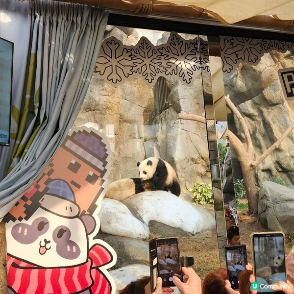 海洋公園 x Sanrio characters蔚藍海洋之旅