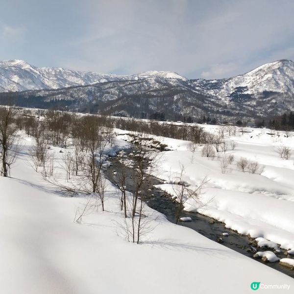 粉雪天堂！妙高山美到窒息！😍