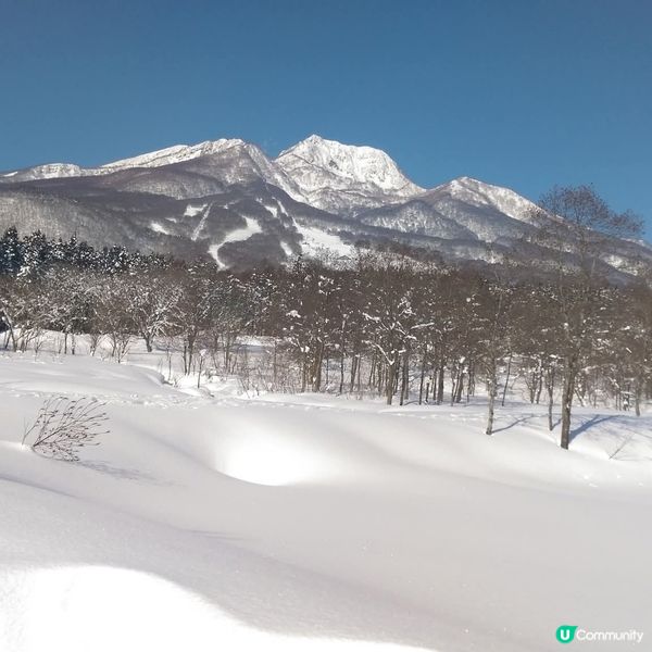 粉雪天堂！妙高山美到窒息！😍