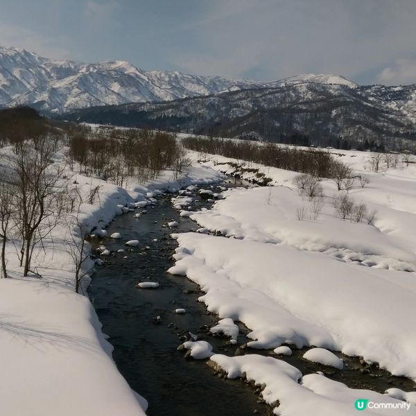 粉雪天堂！妙高山美到窒息！😍