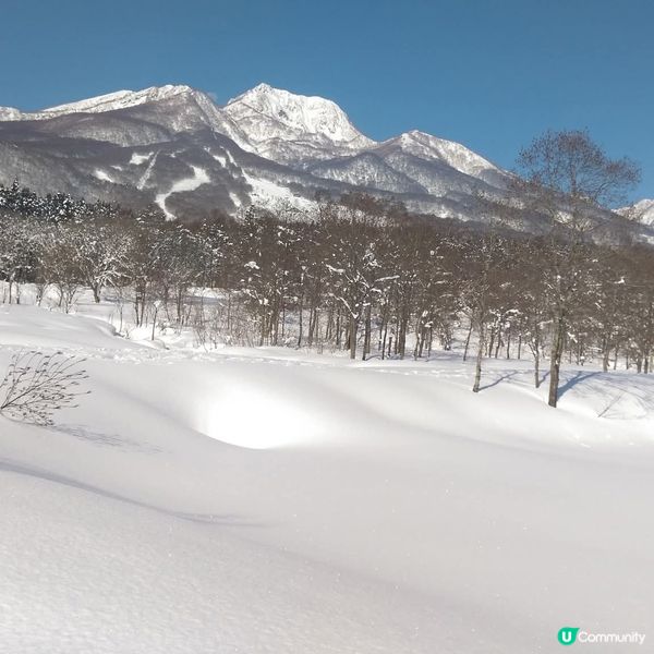 粉雪天堂！妙高山美到窒息！😍