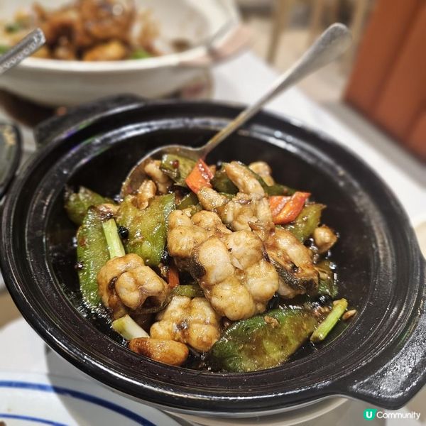 必食鹵水鵝與煲仔菜