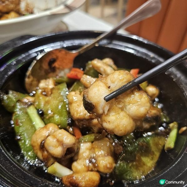 必食鹵水鵝與煲仔菜