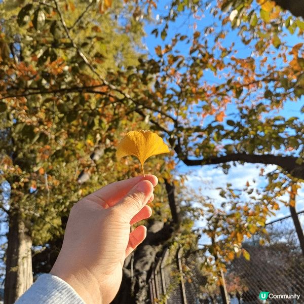 去旅行最重要吃喝玩樂之外，欣賞風景也很重要