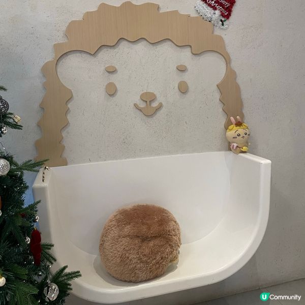 📝大埔。Kuri Cafe