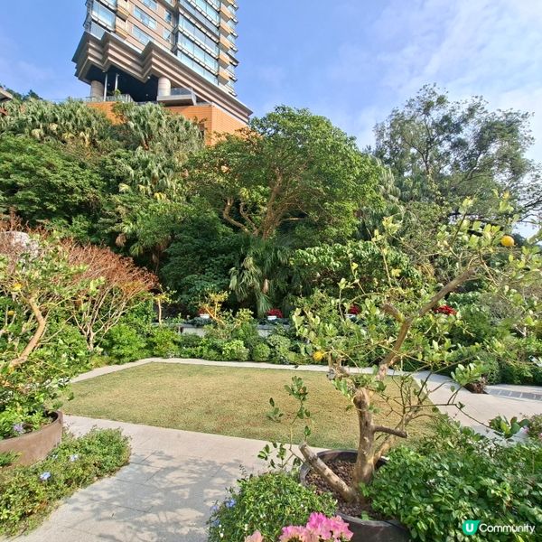 ✨️香港假日好去處💯淺水灣影灣園復古風格🎊