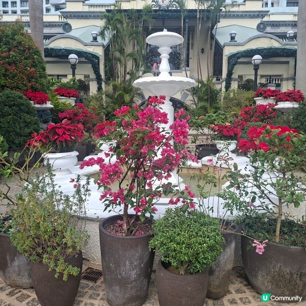 ✨️香港假日好去處💯淺水灣影灣園復古風格🎊