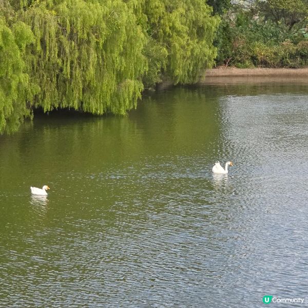 珠海慢活農家菜 😋🍽️