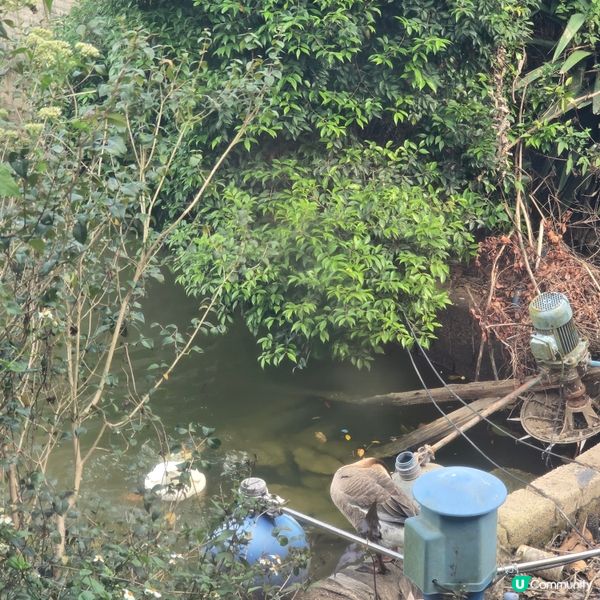 珠海慢活農家菜 😋🍽️