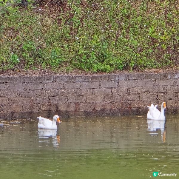 珠海慢活農家菜 😋🍽️