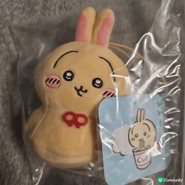 呢幾個CHIKAWA公仔我係專登去日本購入，對我嚟講唔止係擺...