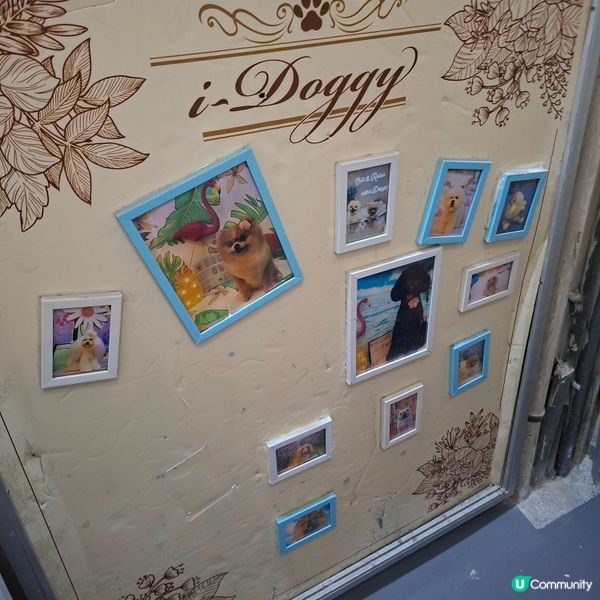 ✨️銅鑼灣樓上寵物友善咖啡店🐶☕️