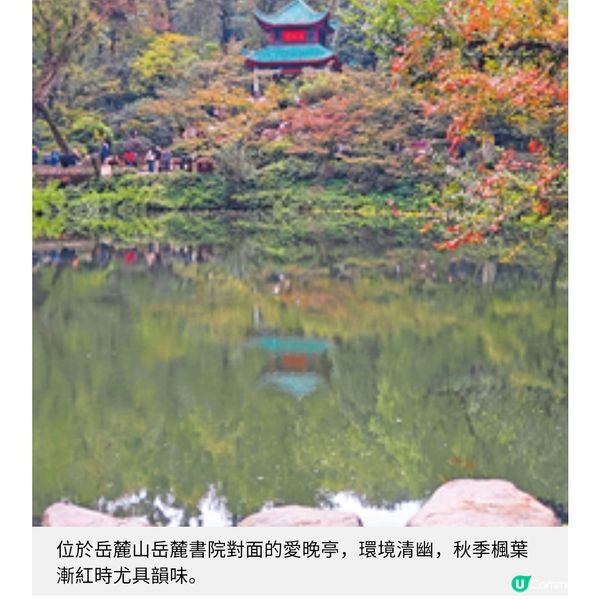 長沙柏悅酒店試住體驗 嘗現代湘味富貴雞 老茶館滋味