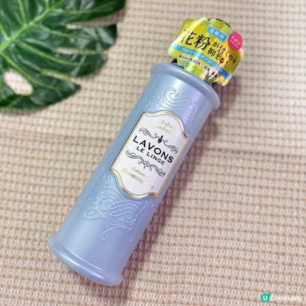 LAVONS 抗菌防霉味雅芳貴氣衣物柔順劑🌟