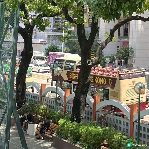灣仔老當鋪，歷史感滿滿！🤩