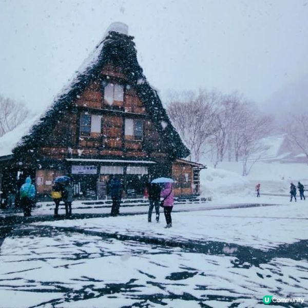 雪國童話！荻町夢幻雪景❄️✨