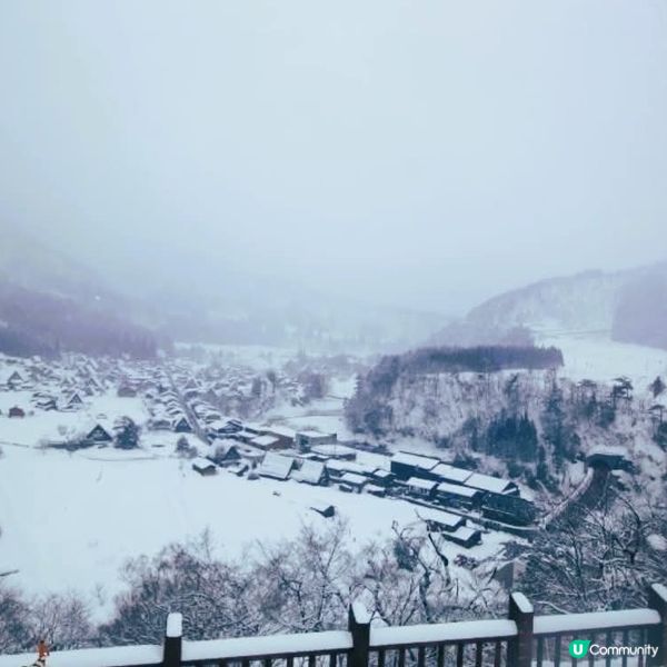 雪國童話！荻町夢幻雪景❄️✨