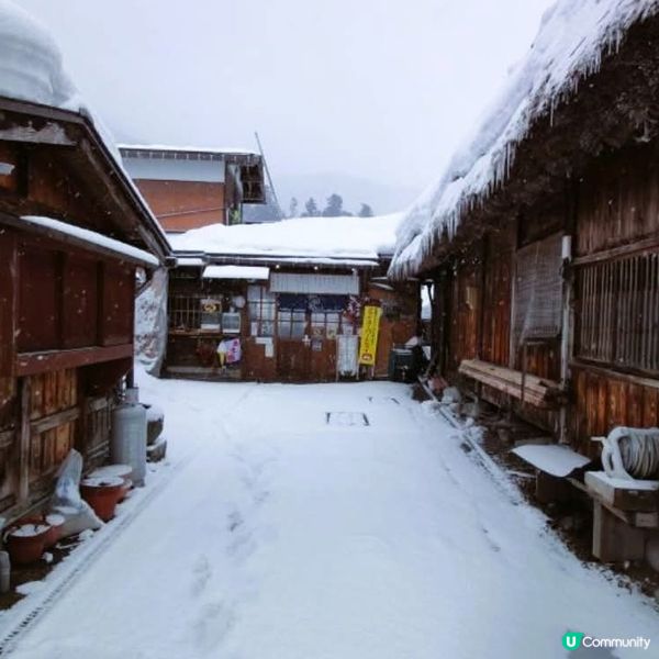 雪國童話！荻町夢幻雪景❄️✨