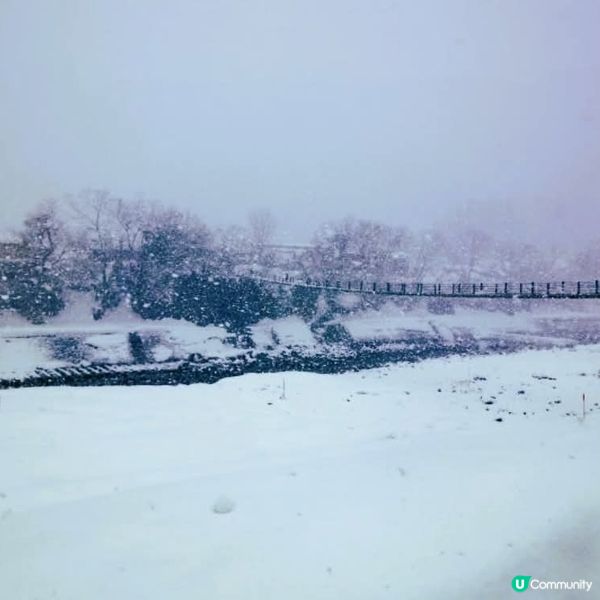 雪國童話！荻町夢幻雪景❄️✨
