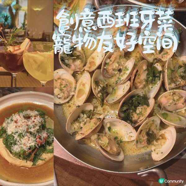 深圳灣美食攻略！🤤必試3間餐廳！