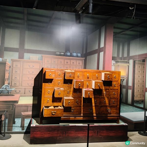 藥師少女展！貓貓好可愛！😻