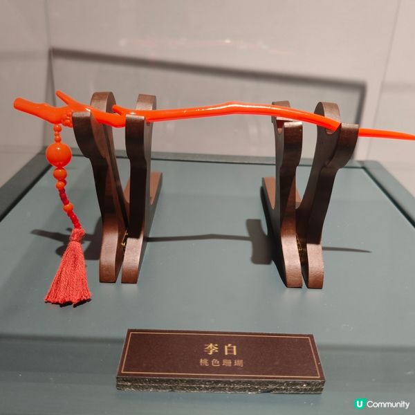 藥師少女展！貓貓好可愛！😻