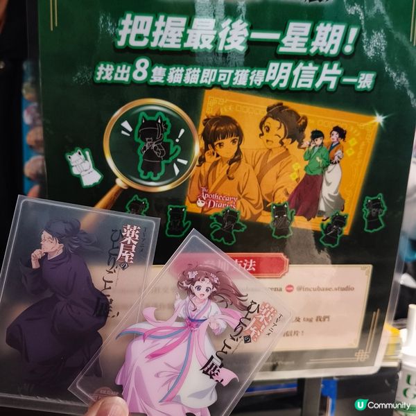 藥師少女展！貓貓好可愛！😻