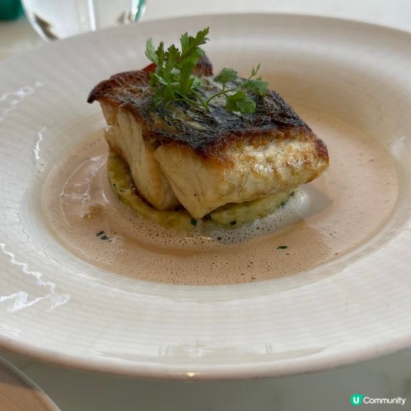 尖沙咀高質海景扒房🌸😍