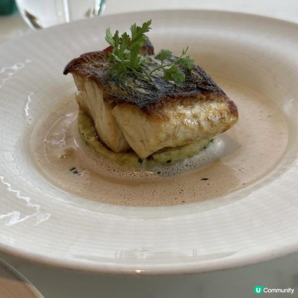 😍尖沙咀高質海景扒房🌊必食🩷香煎鱸魚配薯蓉及龍蝦湯