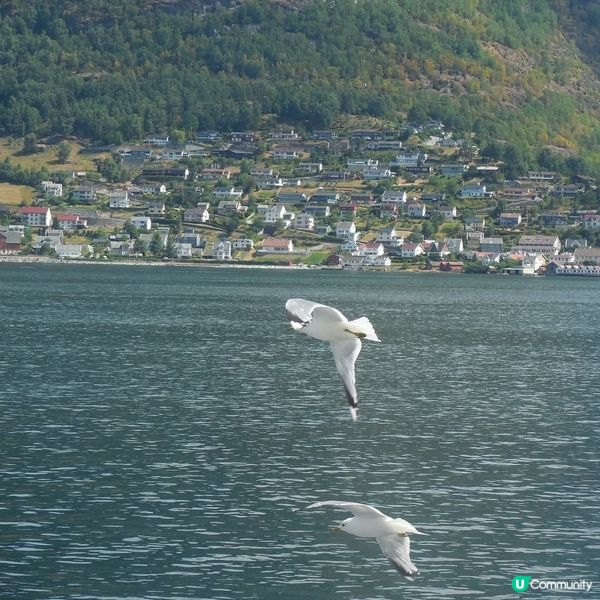 挪威的縮影Norway in a nutshell🖼