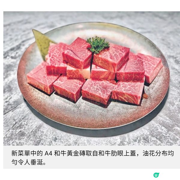銅鑼灣壽喜燒必食和牛磚千歲米豚二人同行送赤身和牛山