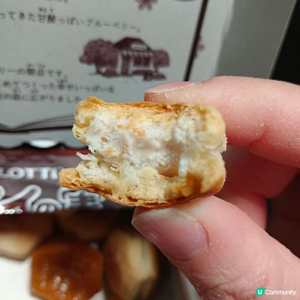 樂天松鼠藍莓忌芝士餅味泡芙