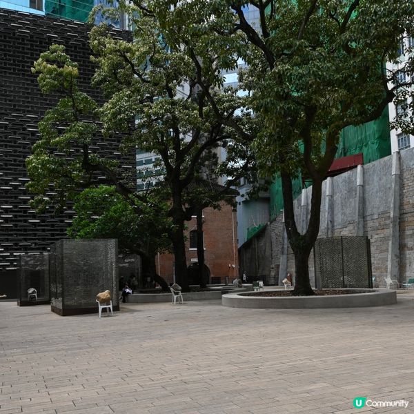 大館：歷史藝術新地標！🤩