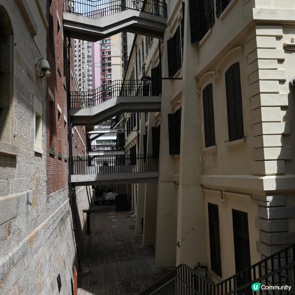 大館：歷史藝術新地標！🤩