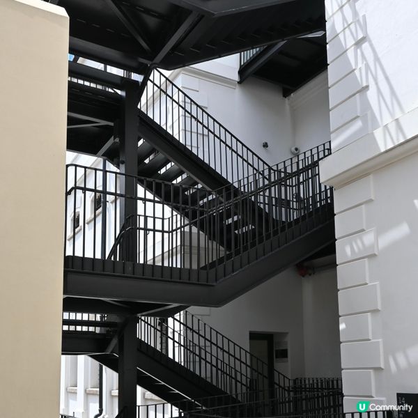 大館：歷史藝術新地標！🤩