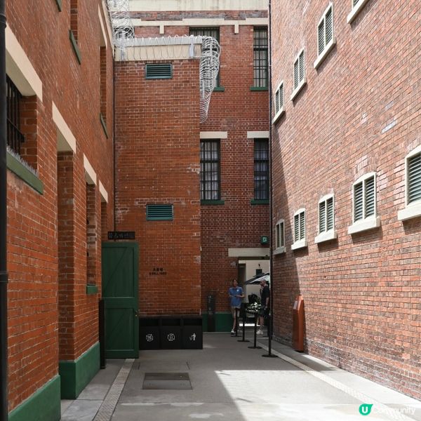 大館：歷史藝術新地標！🤩