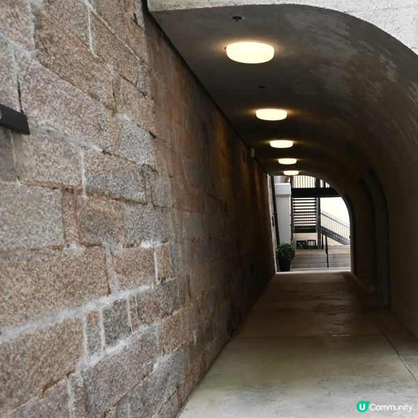 大館：歷史藝術新地標！🤩