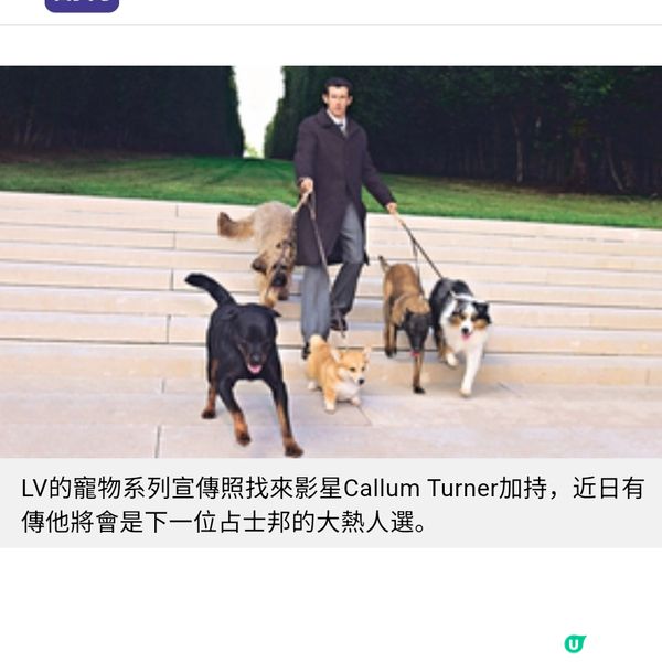 寵物戰場
