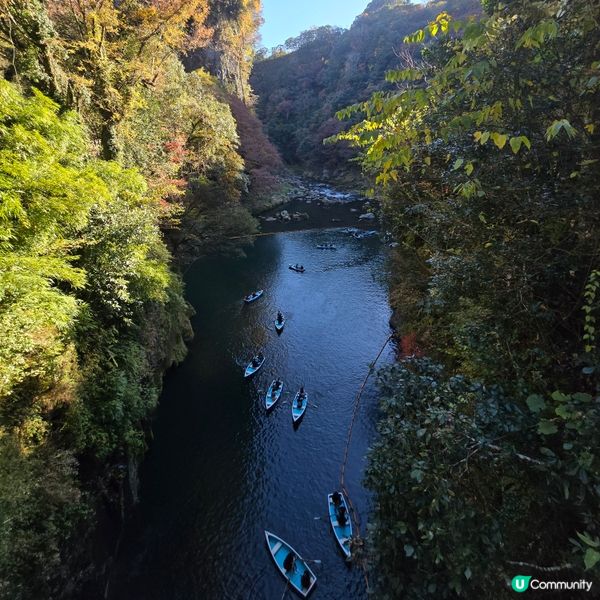 高千穗峽必玩🛶！紅葉🍁櫻花🌸季必搶船票攻略