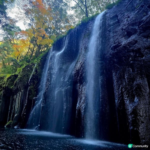 高千穗峽必玩🛶！紅葉🍁櫻花🌸季必搶船票攻略