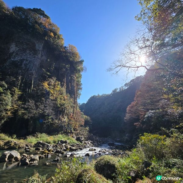 高千穗峽必玩🛶！紅葉🍁櫻花🌸季必搶船票攻略