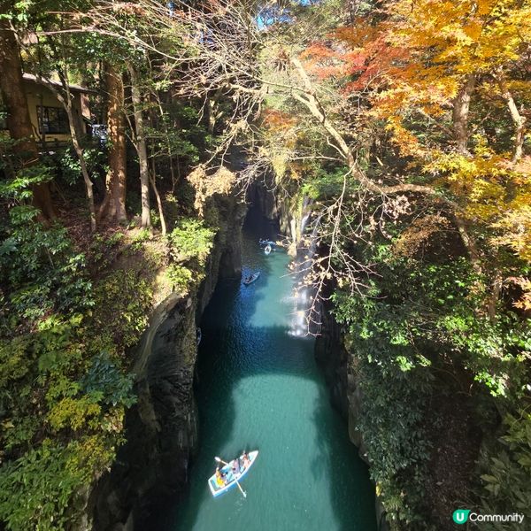 高千穗峽必玩🛶！紅葉🍁櫻花🌸季必搶船票攻略