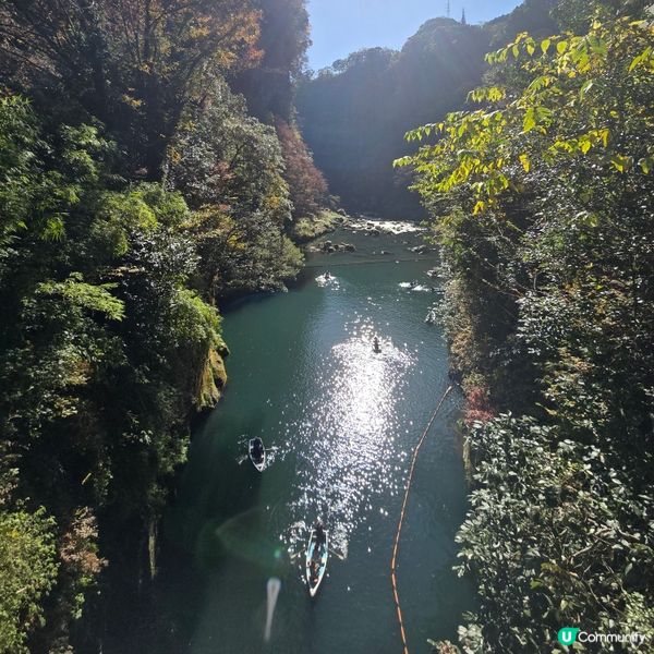 高千穗峽必玩🛶！紅葉🍁櫻花🌸季必搶船票攻略
