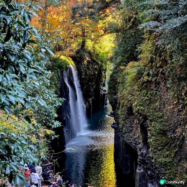 高千穗峽必玩🛶！紅葉🍁櫻花🌸季必搶船票攻略