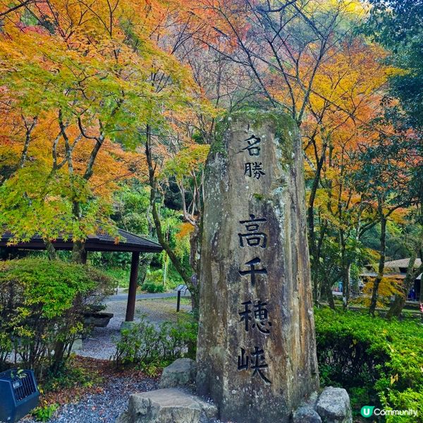 高千穗峽必玩🛶！紅葉🍁櫻花🌸季必搶船票攻略